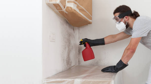 Professional Hvac And Air Duct Mold Remediation technician working in Stoughton, MA